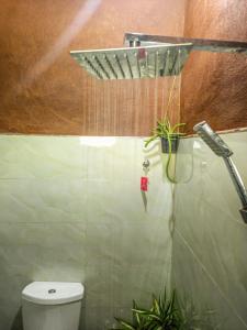 a bathroom with a toilet and a shower with plants at Creek Downhills in Ella +46 photos