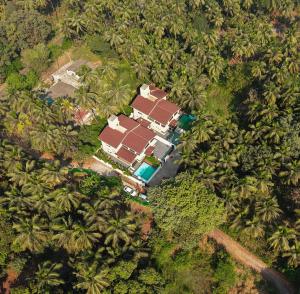 an aerial view of a house in the middle of a forest at EKOSTAY - Mercury Villa in Alibaug