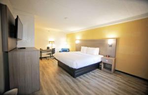 Postel nebo postele na pokoji v ubytování Quality Inn Aurora Denver
