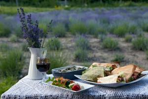 a table with a plate of food and a glass of wine at Lawendowa Osada in Przywidz