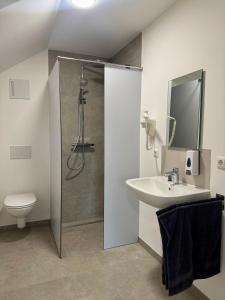 a bathroom with a shower and a sink and a toilet at Apartment, Zimmer, Ferienwohnung in Traitsching