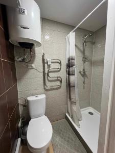 a small bathroom with a toilet and a shower at Svečių namelis in Kaunas