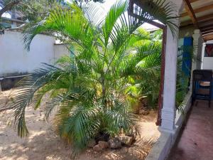 Imagine din galeria proprietății MSS Hotel Trinco în Trincomalee