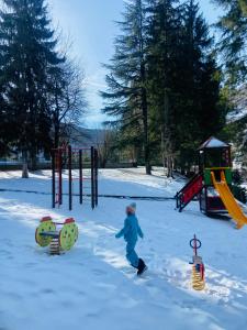 Studio Piccola Renna durante l'inverno