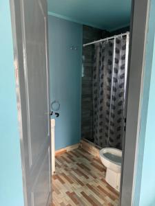 a bathroom with a toilet and a shower at El Oceano in Puerto Madryn