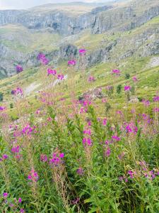 Paesaggio naturale nelle vicinanze dell'appartamento
