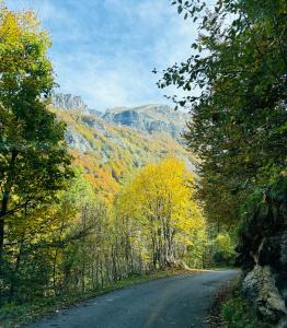Paesaggio naturale nelle vicinanze dell'appartamento