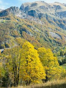 Paesaggio naturale nelle vicinanze dell'appartamento