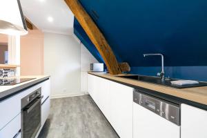 a kitchen with a sink and a blue wall at LA Plume aux pieds du Parvis Saint Jean in Dijon