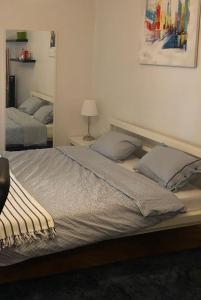 a bedroom with two beds and a mirror at Amazing Studio in Geneva in Geneva +6 photos