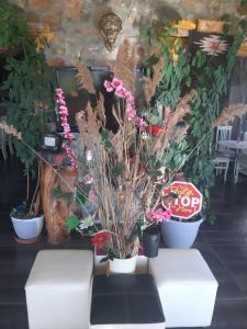 Gallery image of Guest house Stone Dream Ohrid lake view in Udënisht +28 photos