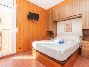 Televízia a/alebo spoločenská miestnosť v ubytovaní Apartment Edificio Garcomar I by Interhome