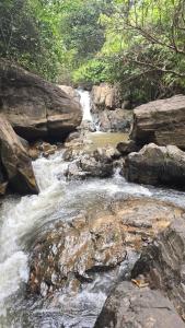 Ảnh trong thư viện ảnh của Highland Estate ở Sakleshpur