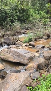 Ảnh trong thư viện ảnh của Highland Estate ở Sakleshpur +22 ảnh