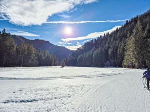 Eine Person, die auf einem schneebedeckten Fluss Fahrrad fährt in der Unterkunft Holiday Home Tiny Haus Glockenalm-Schliersee Lodge by Interhome in Aurach + 17 Fotos