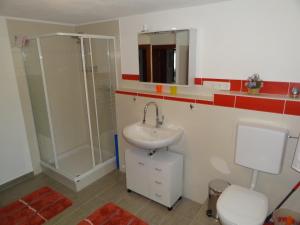a bathroom with a sink and a shower and a toilet at Ferienwohnung Allgäuflair in Rieden am Forggensee +20 photos