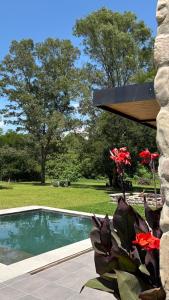 Gallery image of Loto San Lorenzo Studio l Piscina & Naturaleza in San Lorenzo