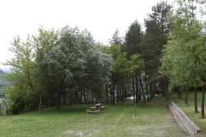 Příroda nedaleko venkovského domu