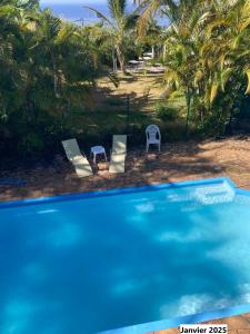 Bassein majutusasutuses Les Bungalows les Vanilliers, Sud Sauvage avec piscine või selle lähedal