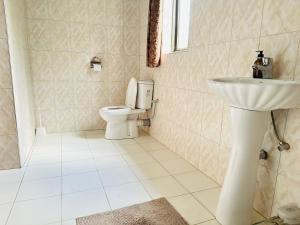 a bathroom with a toilet and a sink at Kisubi Forest View in Entebbe +10 photos