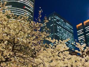 Kép Nagoya JR Gate Tower Hotel szállásáról Nagojában a galériában