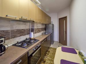 a kitchen with a stove and a counter top at Purple Suite in Sinaia