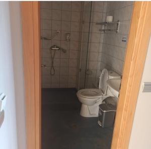 a bathroom with a toilet and a shower at Kohylia by La Scala Beach in Limenas