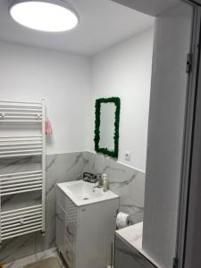 a bathroom with a sink and a green decoration on the wall at Gap Mountain House in Săgagea +11 photos