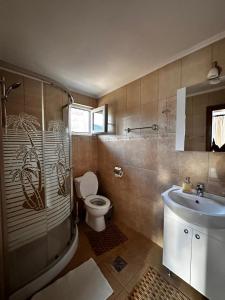 a bathroom with a shower and a toilet and a sink at Dor de munte in Măgura