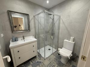 a bathroom with a shower and a toilet and a sink at Santelmo,16 in Málaga