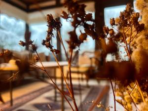 Afbeelding uit fotogalerij van Charmantes Haus am Hennesee in Meschede