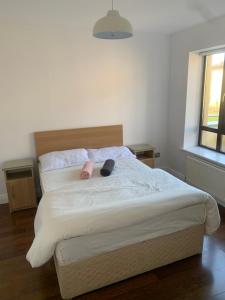 Φωτογραφία από το άλμπουμ του Relaxing Balcony Views Mullingar Self Catering Apartment on Park Hotel Grounds στο Μουλινγκάρ +20 φωτογραφίες