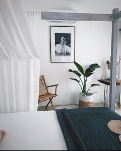 una camera da letto con un letto e una pianta in vaso di Fig&Olive Luxury one bedroom boutique in Pachna a Limassol Altre 22 foto