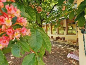 Giardino di Hotel Voglauerhof