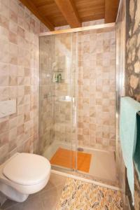 a bathroom with a shower with a toilet and a tub at Stone Two Bedroom Villa with Pool in Staševica +16 photos
