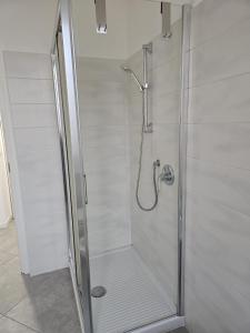 a shower with a glass door in a bathroom at Il Sesto tasso in Sesto San Giovanni