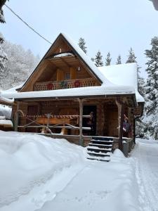 CypiSówka om vinteren