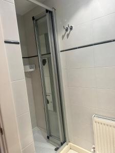 a shower with a glass door in a bathroom at Apartamento Picos de Europa in Comillas