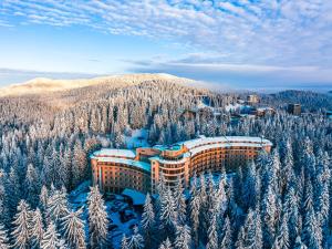 Hotel Orpheus - Casino and SPA في بامبوروفو: اطلالة جوية على منتجع فيه اشجار مغطاة بالثلوج