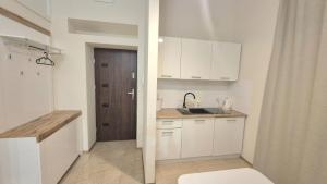Kuchyňa alebo kuchynka v ubytovaní Topolowa Apartament z klimatem- Topolowa/Rynek/PKP