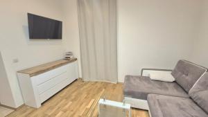 Televízia a/alebo spoločenská miestnosť v ubytovaní Topolowa Apartament z klimatem- Topolowa/Rynek/PKP