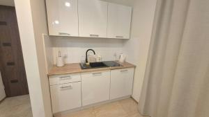 Kuchyňa alebo kuchynka v ubytovaní Topolowa Apartament z klimatem- Topolowa/Rynek/PKP