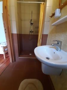 a bathroom with a sink and a shower at Agroturystyka GAGA in Ustka +31 photos