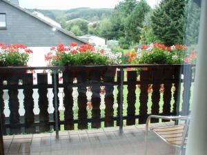 Ein Balkon oder eine Terrasse in der Unterkunft Ferienwohnung Anna Scheid