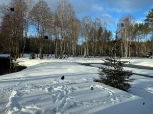 Dubinga River Valley House & SPA - FREE sauna v zimě