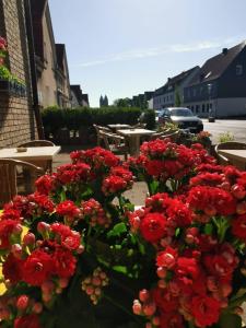 Zahrada ubytování Haus Ruhrpott