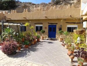 a house with a bunch of potted plants in front of it at Nick's Cave, Bed and Breakfast with a difference in Cuevas del Almanzora