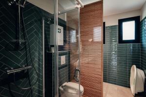 a bathroom with a toilet and a glass shower at La Maison des Pins contis in Saint-Julien-en-Born +14 photos