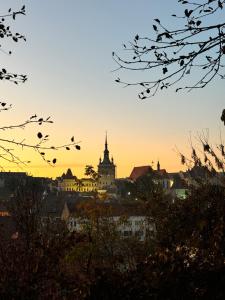a view of a city skyline at sunset at Cosbuc Residence & Villa in Sighişoara