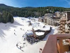 a group of people on a ski slope in the snow at Appartement 2 pièces, 4 pers, balcon sud, parking, animaux admis - FR-1-513-73 in La Tania
